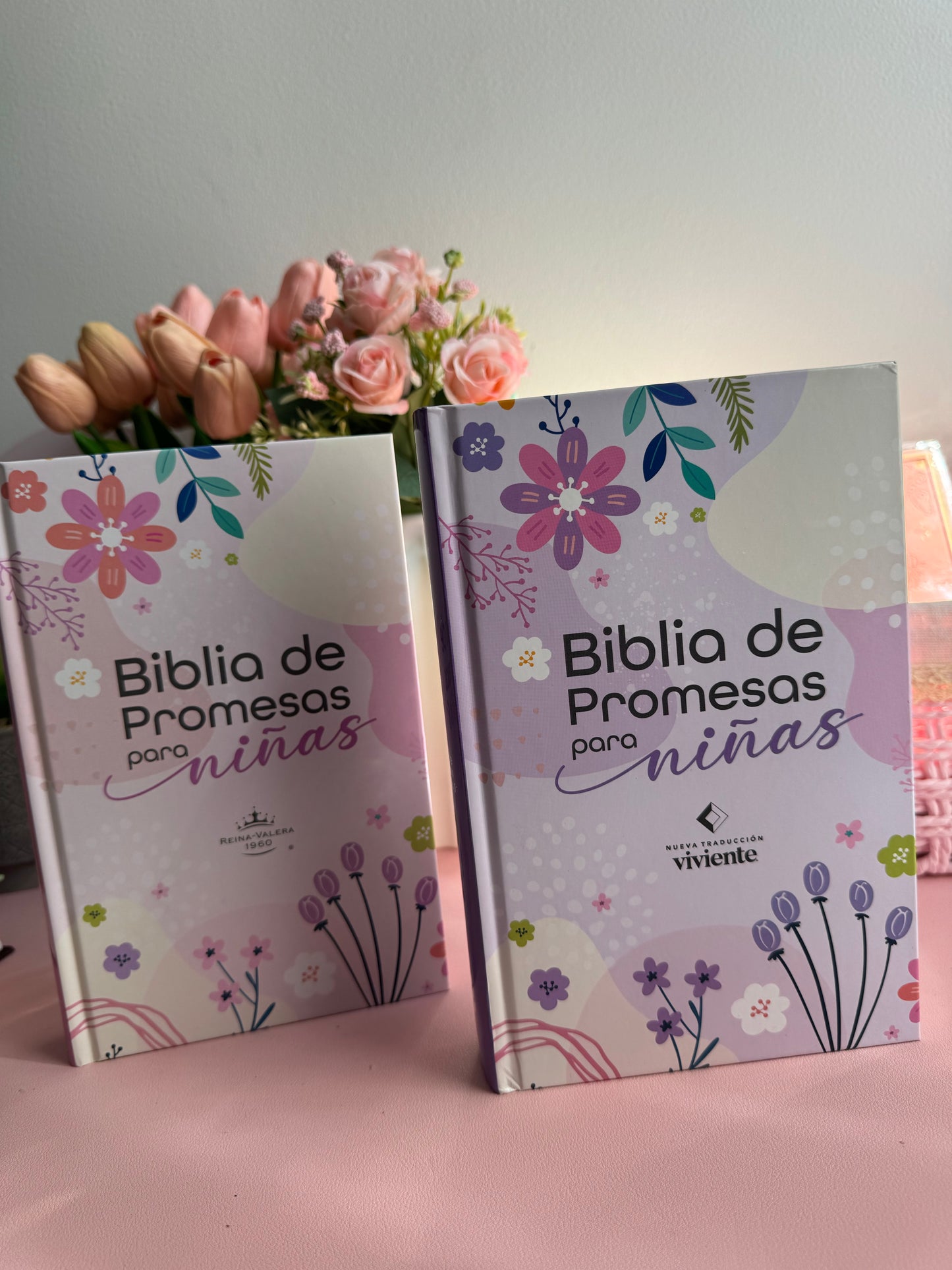 Biblia de Promesas para todos los HIJOS