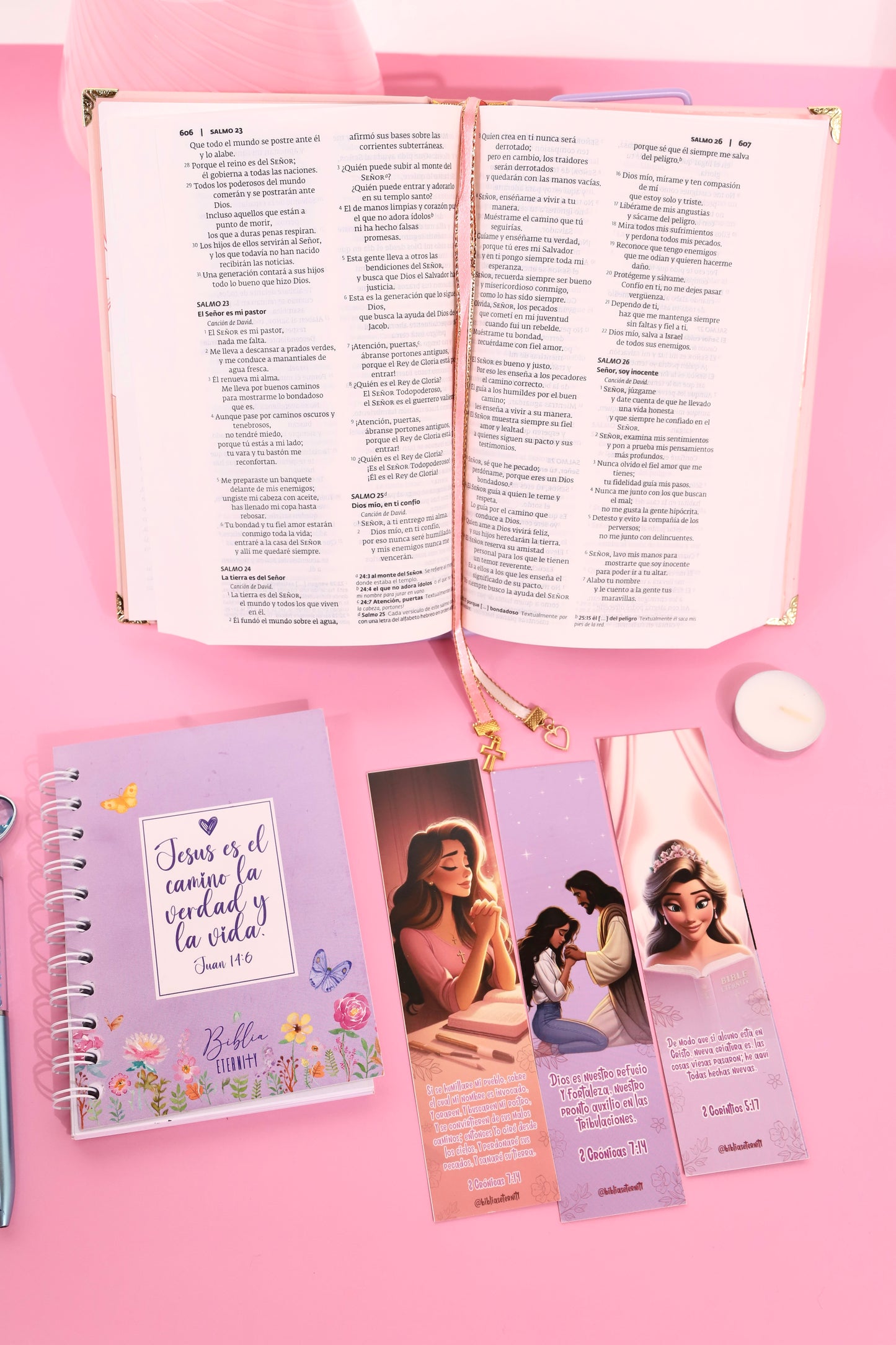BIBLIA ETERNITY SALMON