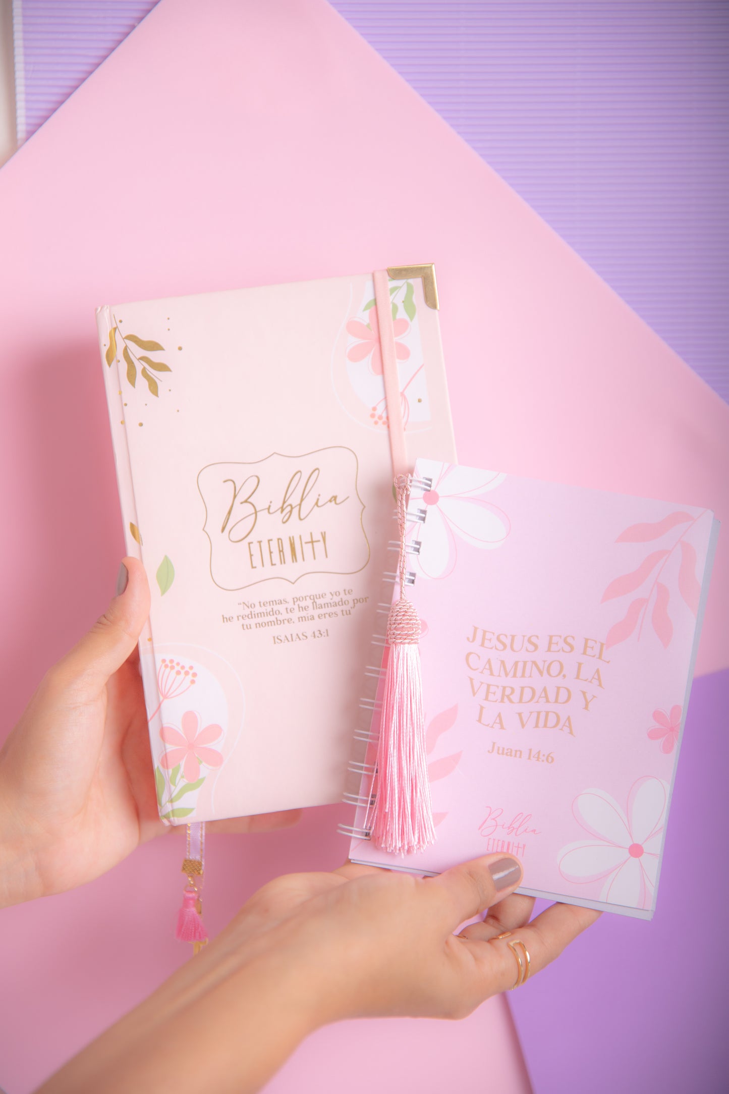 BIBLIA ETERNITY SALMON