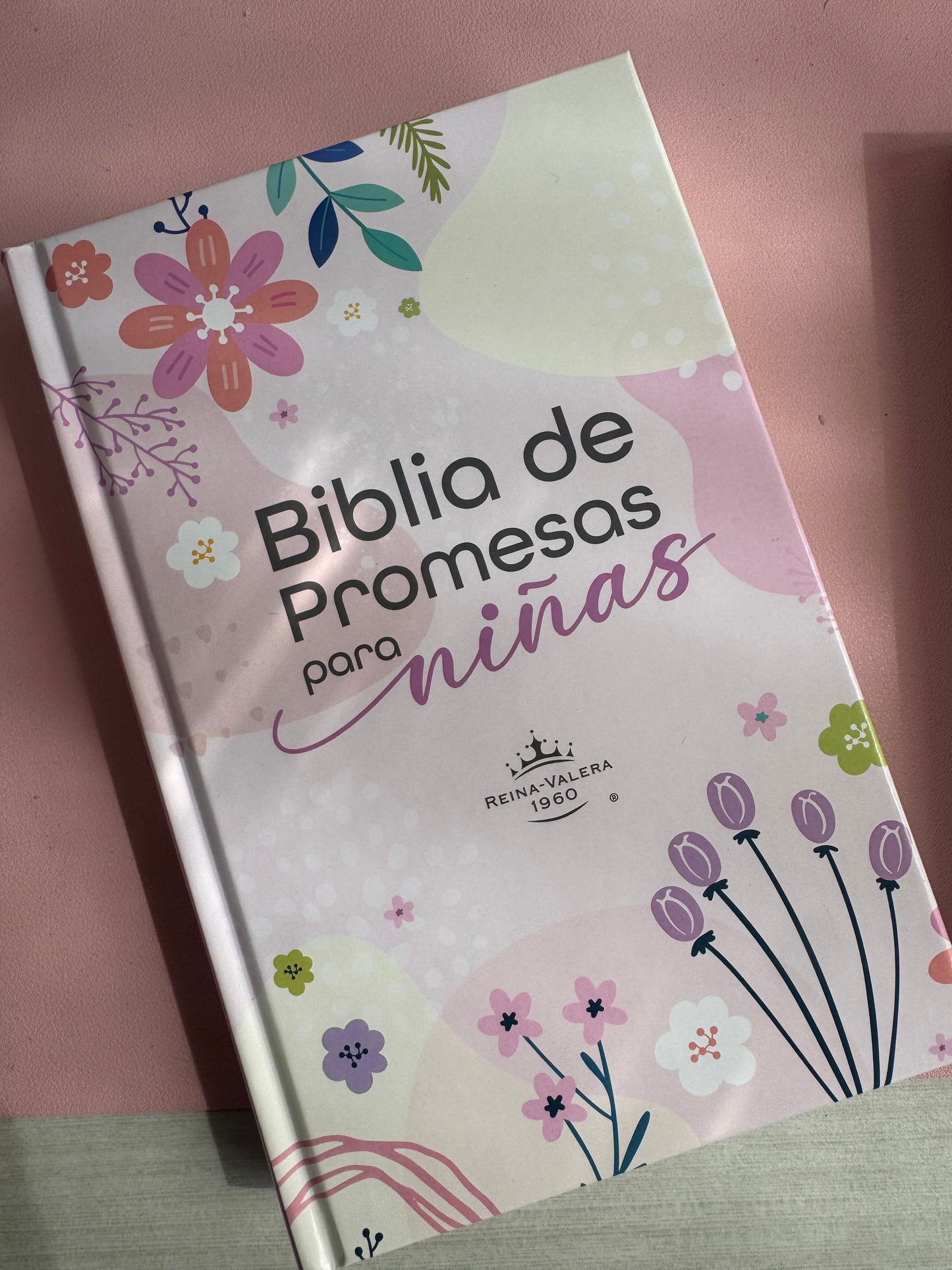 Biblia de Promesas para todos los HIJOS